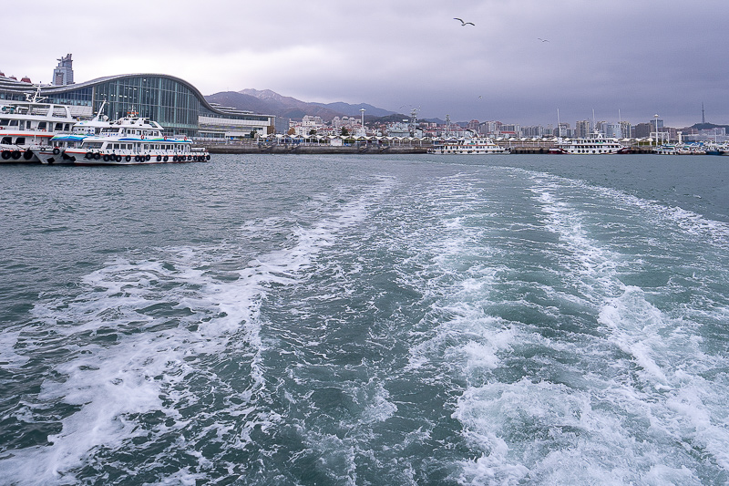 去青島旅游都是哪里的人(去青島旅游都是哪里的人去的)
